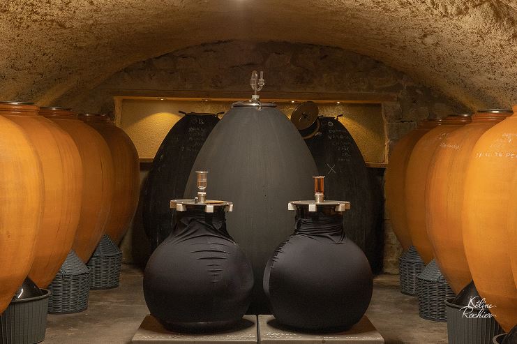 Domaine du Coulet | Matthieu Barret